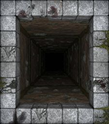 Pérdida de Sangre